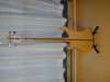Greco RIcken 4001 2.jpg